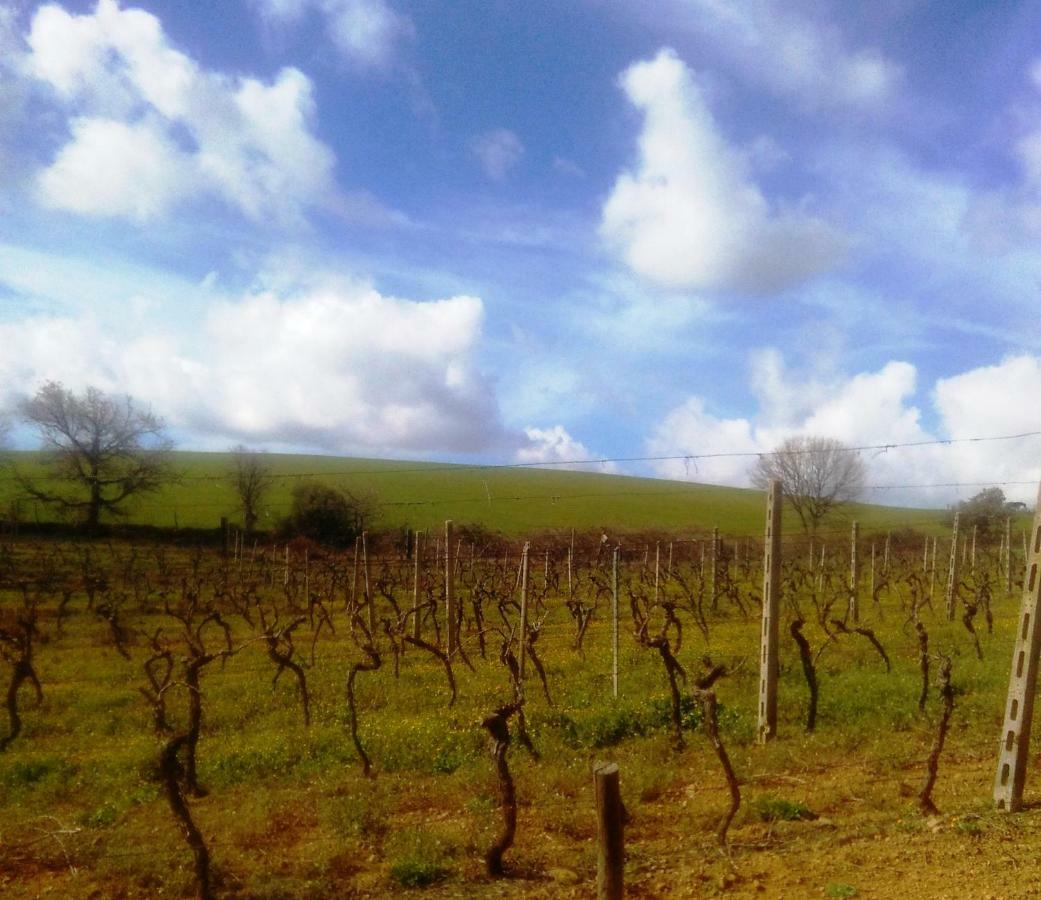 Agriturismo Il Cantiniere Γκροσέτο Εξωτερικό φωτογραφία