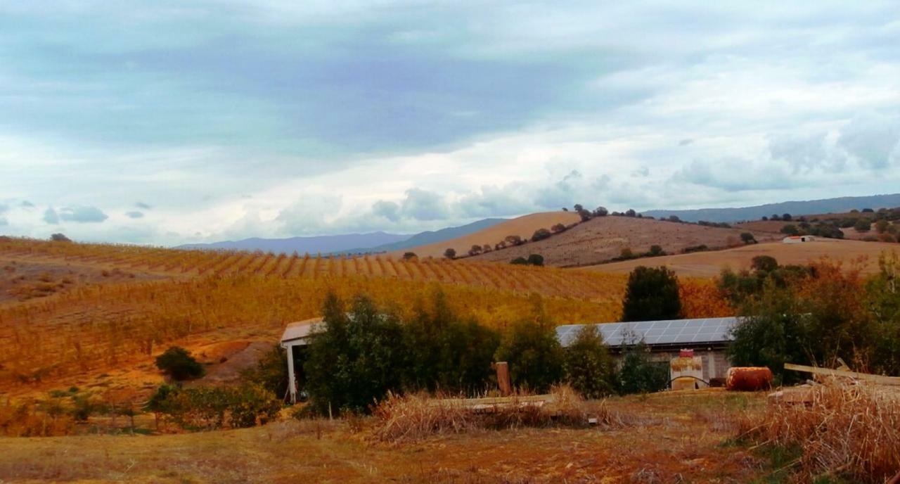 Agriturismo Il Cantiniere Γκροσέτο Εξωτερικό φωτογραφία